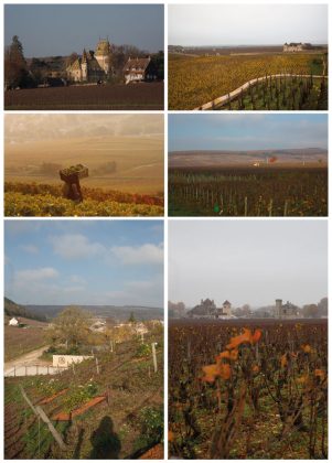Les « climats » du vignoble de Bourgogne. Une Balade novembre 2018. Plume Voyage Magazine #plumevoyage @plumevoyagemagazine @plumevoyage © F Spiekermeier