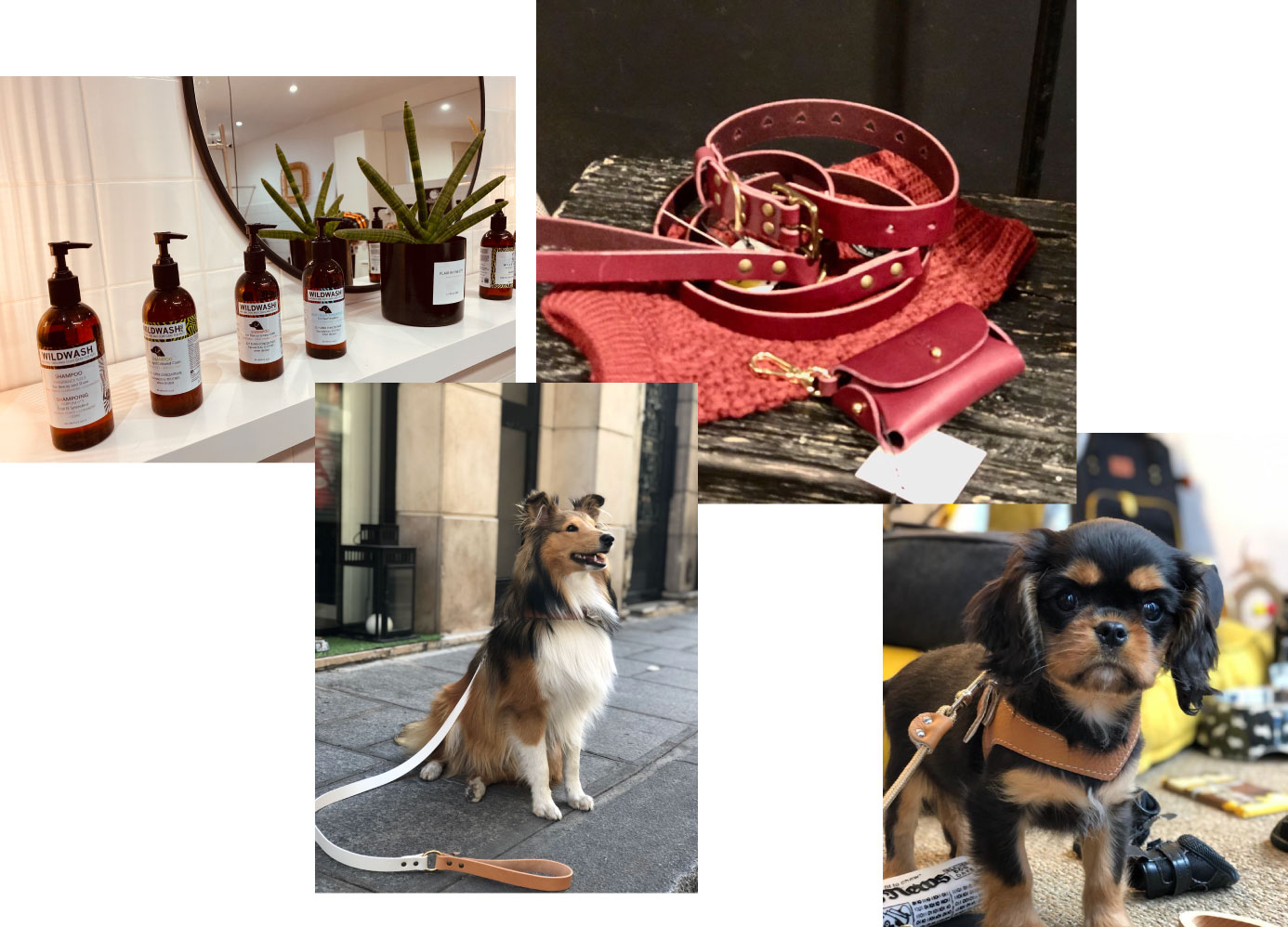 Flair in the City, l'atelier parisien pour chien.Novembre 2020. Les actualités de Plume Voyage Webzine @plumevoyage #plumevoyage © DR