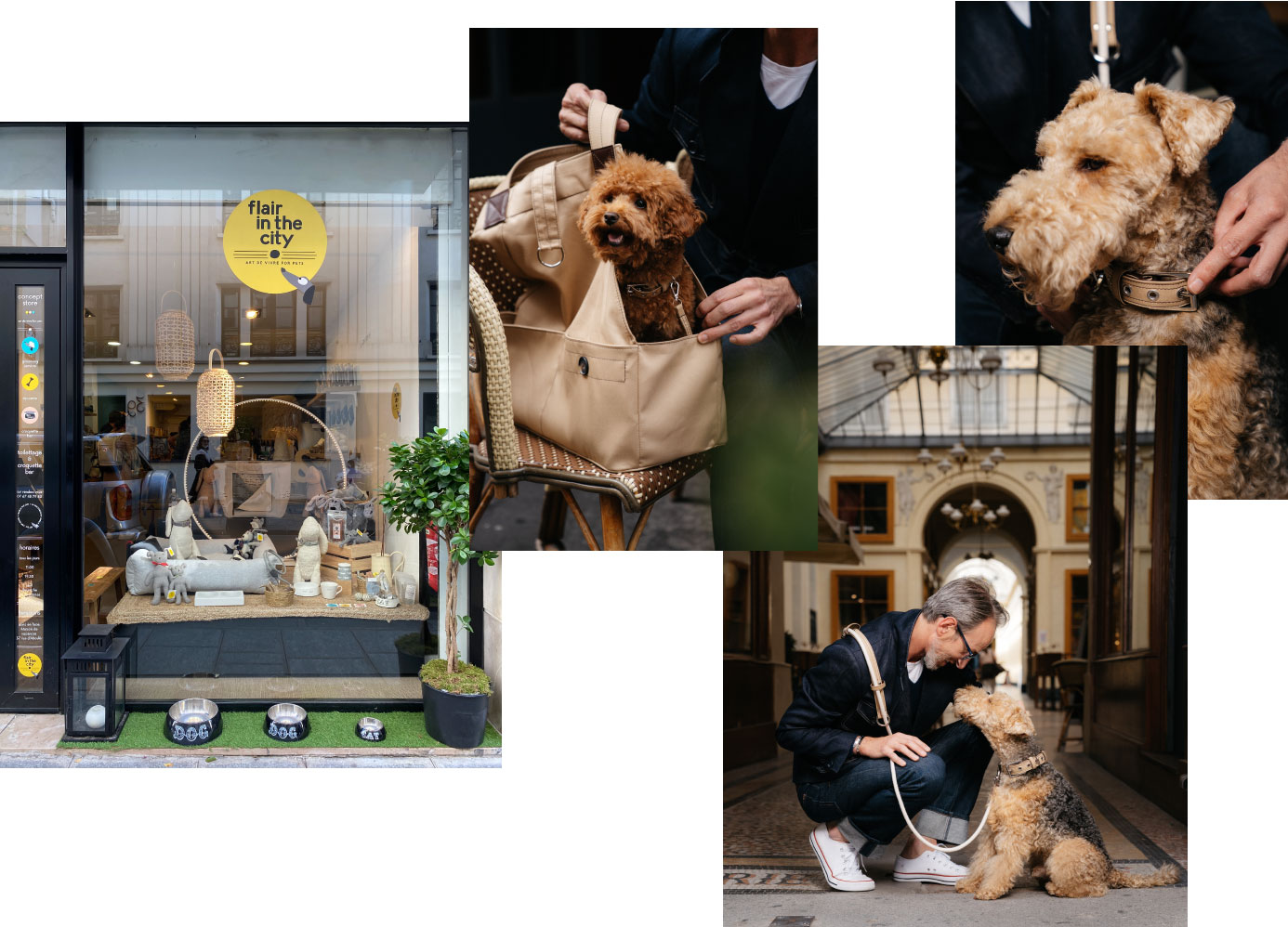 Flair in the City, l'atelier parisien pour chien. Novembre 2020. Les actualités de Plume Voyage Webzine @plumevoyage #plumevoyage © DR