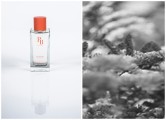 Photo 1 : Ardent, Photo 2 : Inspiration d’Ardent. © Parfums de Bastide