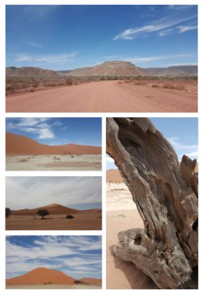 Namibie, Désert du Namib. une balade octobre 2016 PLUMEVOYAGE @plumevoyagemagazine © Beatrice Delamotte