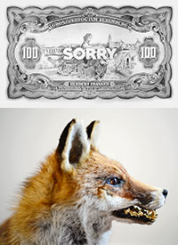 Photo 1: Sorry/ photo 2 : Golden Empire Fox © Filip Markiewicz Photo Christian Mosar