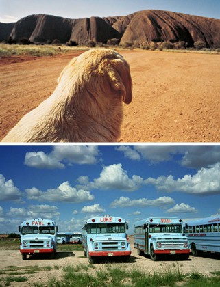 PHOTO 1: Dog on the Road to Ayers Rock, #2, Uluru, 1977, ® Wim Wenders Courtesy Blain Southern PHOTO 2: Joshua and John (behind), Odessa, Texas, 1983, ® Wim Wenders Courtesy Blain Southern