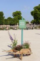12e édition de « Jardins Jardin » aux Tuileries © Aude SIRVAIN